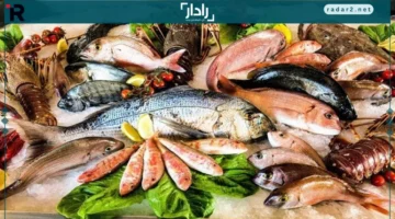 ارتفاع قياسي.. أسعار الأسماك والجمبري تتصاعد في سوق العبور اليوم الثلاثاء 16 ديسمبر 2025